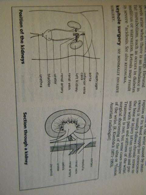 OXFORD CONCISE MEDICAL DICTIONARY