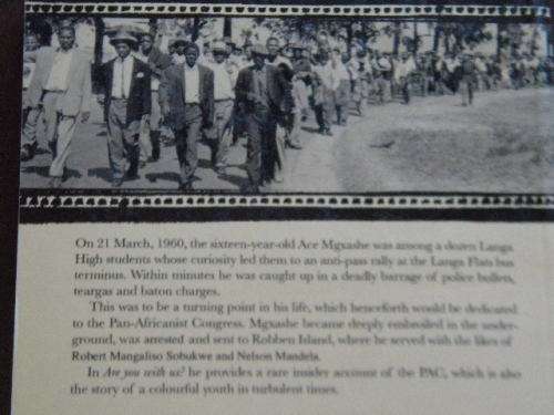 ARE YOU WITH US? The story of a PAC activist  by Mxolisi `Bra Ace` Mgxashe