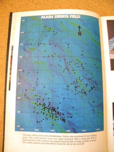 HELDERBERG: DEATH FLIGHT SA 295  by Ronnie Watt