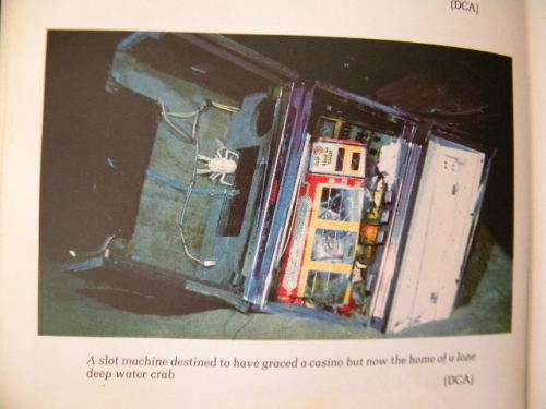 HELDERBERG: DEATH FLIGHT SA 295  by Ronnie Watt