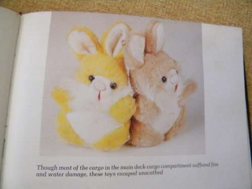 HELDERBERG: DEATH FLIGHT SA 295  by Ronnie Watt