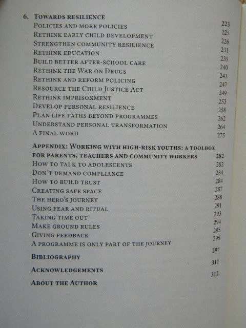 GANG TOWN, by Don Pinnock