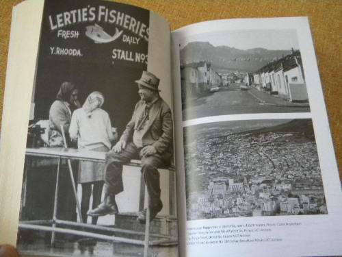 GANG TOWN, by Don Pinnock