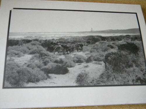 CAPE AGULHAS 1849 - 1949  by Jeannette Grobbelaar