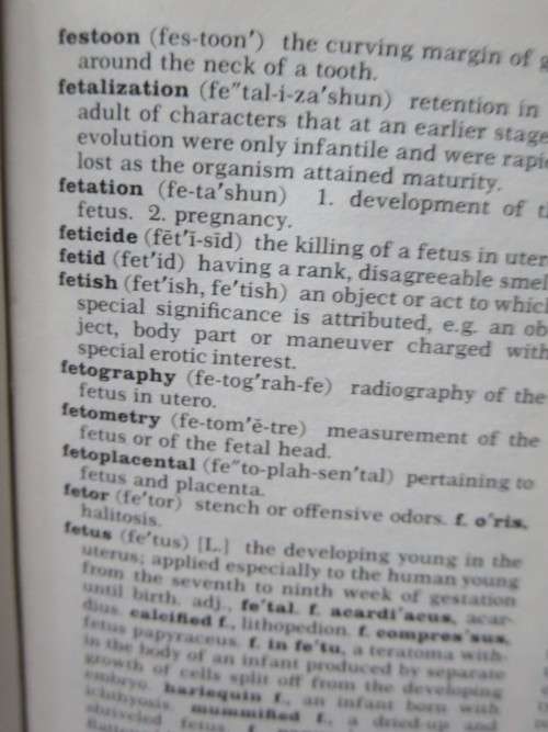 DORLAND`S POCKET MEDICAL DICTIONARY  21st Edition