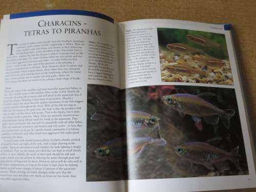 THE COMPLETE BOOK OF FRESHWATER AND MARINE TROPCIAL FISH  by R Crow and D Keeley