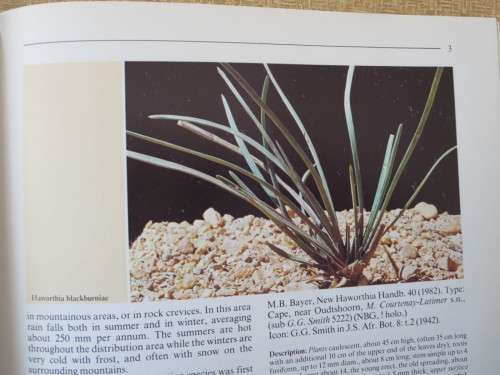 THE GENUS HAWORTHIA   A taxonomic Revision  by Charles L. Scott