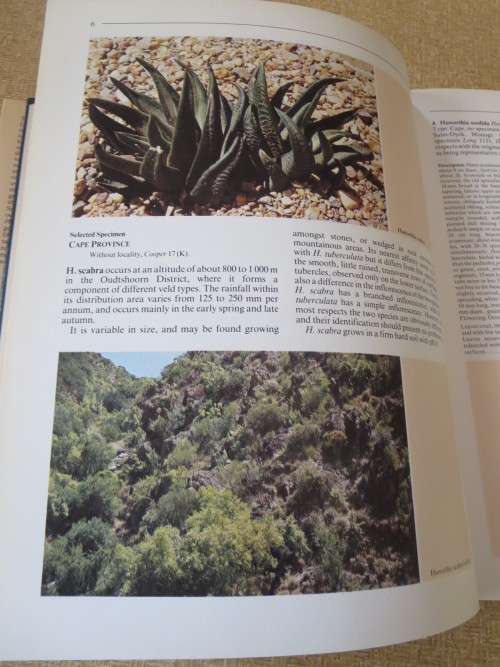 THE GENUS HAWORTHIA   A taxonomic Revision  by Charles L. Scott