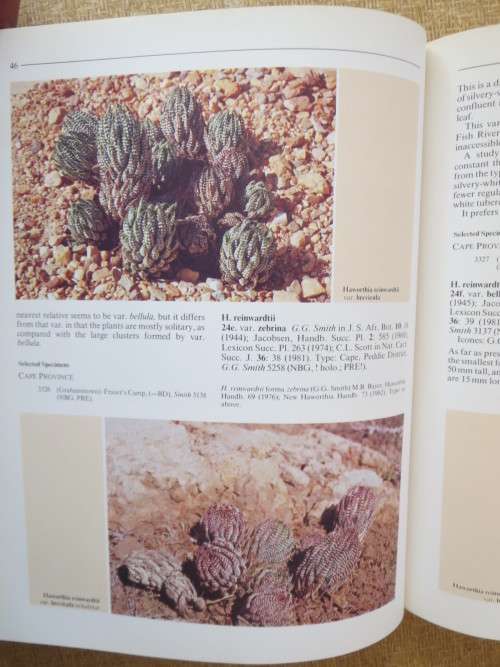 THE GENUS HAWORTHIA   A taxonomic Revision  by Charles L. Scott