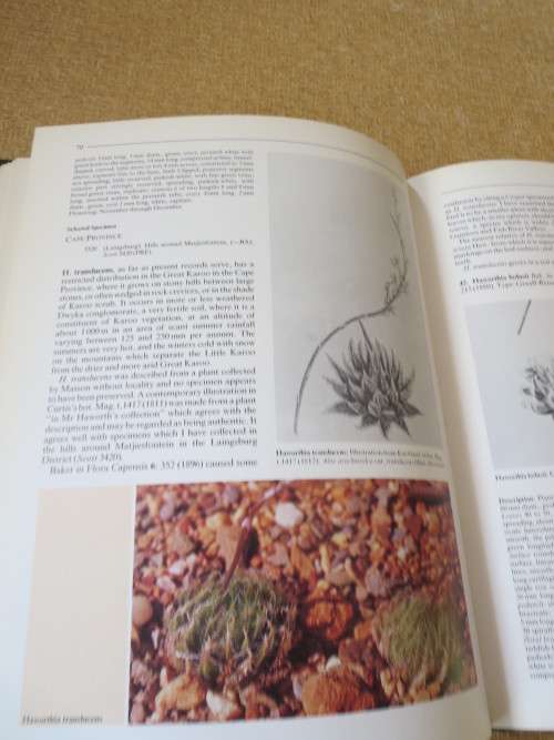 THE GENUS HAWORTHIA   A taxonomic Revision  by Charles L. Scott