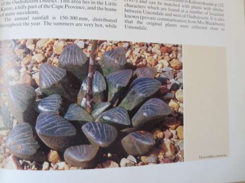 THE GENUS HAWORTHIA   A taxonomic Revision  by Charles L. Scott
