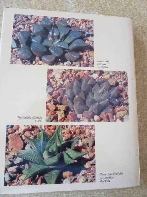 THE GENUS HAWORTHIA   A taxonomic Revision  by Charles L. Scott