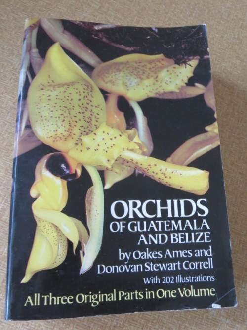 ORCHIDS OF GUATEMALA  AND BELIZE  by Oakes Ames and Donovan Stewart Correll
