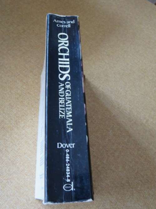 ORCHIDS OF GUATEMALA  AND BELIZE  by Oakes Ames and Donovan Stewart Correll