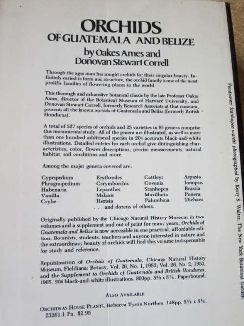 ORCHIDS OF GUATEMALA  AND BELIZE  by Oakes Ames and Donovan Stewart Correll