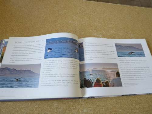 HERMANUS   by Beth Hunt  Photographer: Bernard Jordaan