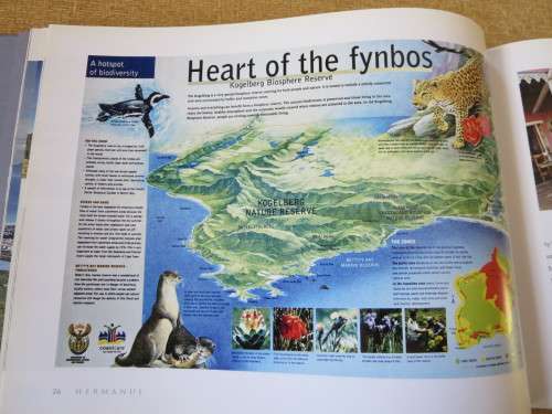 HERMANUS   by Beth Hunt  Photographer: Bernard Jordaan