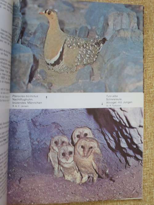 DIE VöGEL DES ETOSCHA-NATIONALPARKS  and  DIE VöGEL DES DAAN-VILJOEN-WILDPARKS