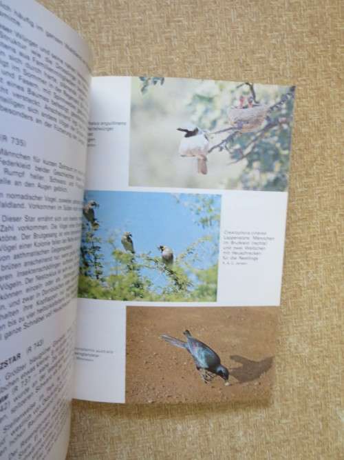 DIE VöGEL DES ETOSCHA-NATIONALPARKS  and  DIE VöGEL DES DAAN-VILJOEN-WILDPARKS