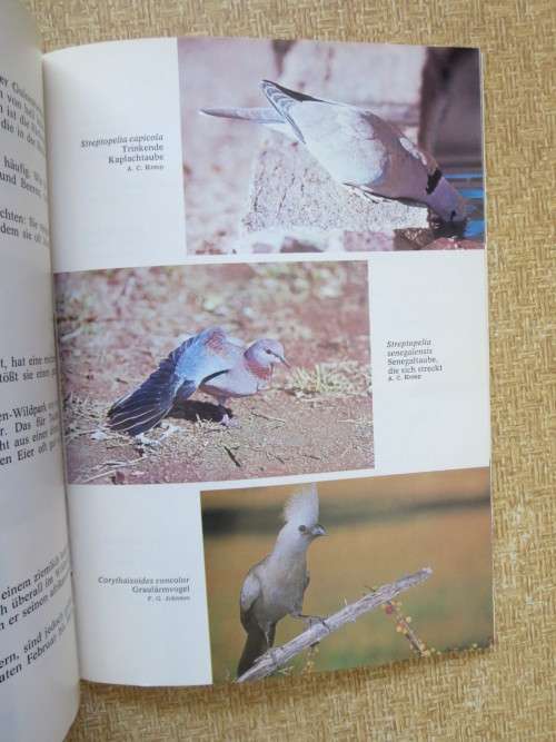 DIE VöGEL DES ETOSCHA-NATIONALPARKS  and  DIE VöGEL DES DAAN-VILJOEN-WILDPARKS