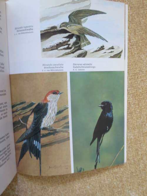 DIE VöGEL DES ETOSCHA-NATIONALPARKS  and  DIE VöGEL DES DAAN-VILJOEN-WILDPARKS