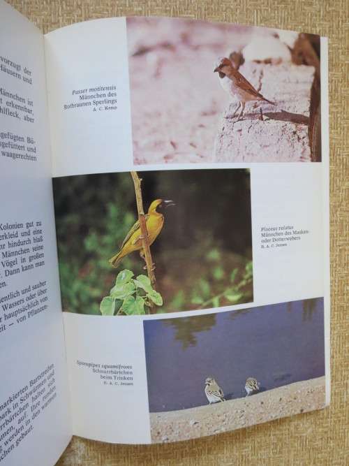 DIE VöGEL DES ETOSCHA-NATIONALPARKS  and  DIE VöGEL DES DAAN-VILJOEN-WILDPARKS