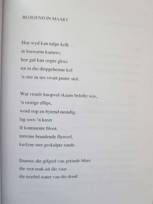 DANSMUSIEKE  deur Zandra Bezuidenhout  (Gedigte)