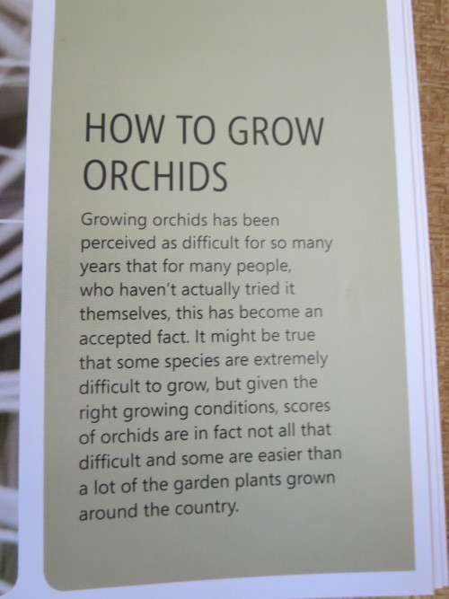 ANYONE CAN GROW ORCHIDS  by Nollie Cilliers and Tinus Oberholzer