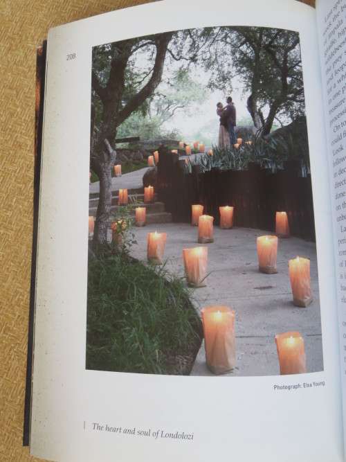 THE FULL CIRCLE  To Londolozi and Back Again   A Family`s Journey  by Dave Varty