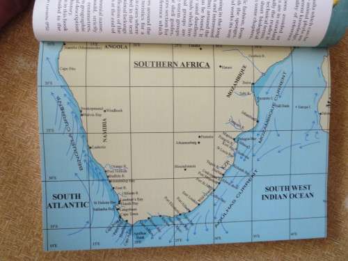 A FIELD GUIDE TO MARINE ANIMALS OF THE CAPE PENINSULA  by Georgina Jones