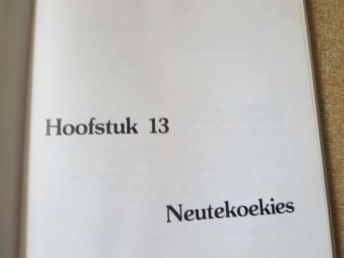 KLEINKOEKIES  300 RESEPTE  deur Erina Bezuidenhout