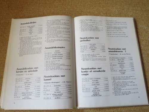 KLEINKOEKIES  300 RESEPTE  deur Erina Bezuidenhout