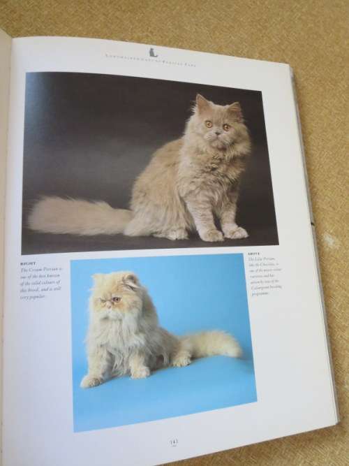 THE COMPLETE CAT BOOK  by Paddy Cutts (Encyclopedia of cats, cat breeds and cat care