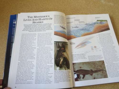 SHARKS: SILENT HUNTERS OF THE DEEP  Introduction: Ron and Valerie Taylor