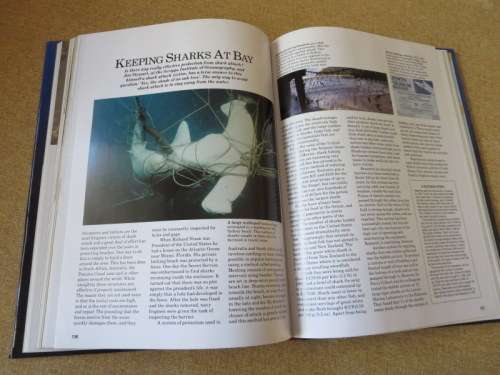 SHARKS: SILENT HUNTERS OF THE DEEP  Introduction: Ron and Valerie Taylor