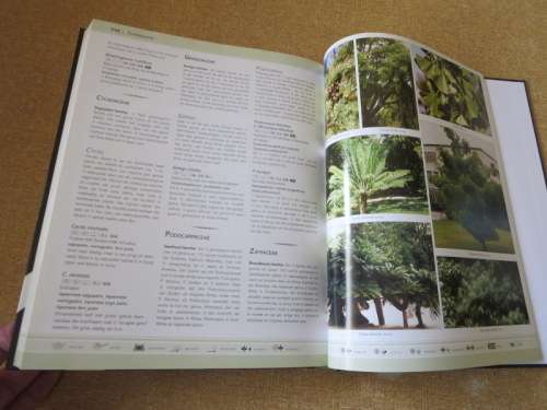 DIE SUIDER-AFRIKAANSE: WATTER BLOM IS DIT?  deur Kristo Pienaar and Gideon F. Smith