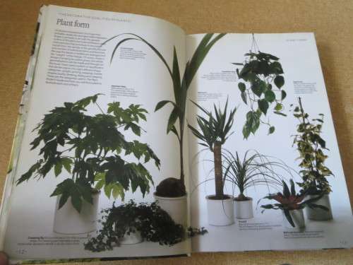 THE INDOOR GARDEN BOOK  by John Brookes  (Creative use of plants and flowers in the home)