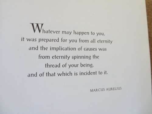 BEING - REMINDERS FROM THE GODS  by Susan Hayward