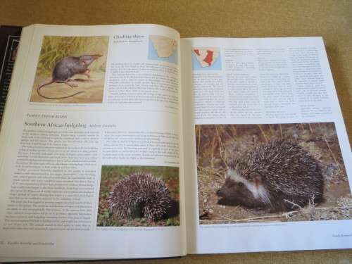 THE COMPLETE BOOK OF SOUTHERN AFRICAN MAMMALS  by Gus Mills & Lex Hes