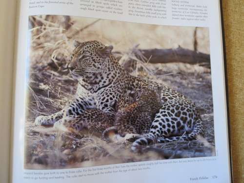 THE COMPLETE BOOK OF SOUTHERN AFRICAN MAMMALS  by Gus Mills & Lex Hes