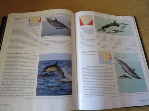 THE COMPLETE BOOK OF SOUTHERN AFRICAN MAMMALS  by Gus Mills & Lex Hes