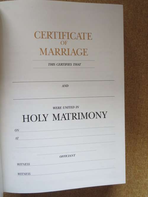 NEW INTERNATIONAL VERSION: DISCIPLE`S STUDY BIBLE