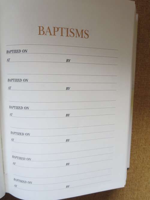 NEW INTERNATIONAL VERSION: DISCIPLE`S STUDY BIBLE