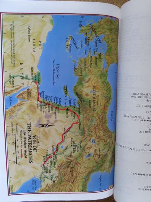 NEW INTERNATIONAL VERSION: DISCIPLE`S STUDY BIBLE