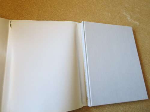 TREES & SHRUBS OF THE WITWATERSRAND, MAGALIES- & PILANSBERG by J van Gogh & J Anderson