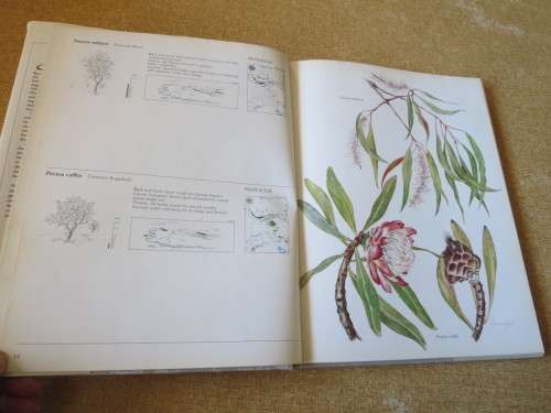 TREES & SHRUBS OF THE WITWATERSRAND, MAGALIES- & PILANSBERG by J van Gogh & J Anderson