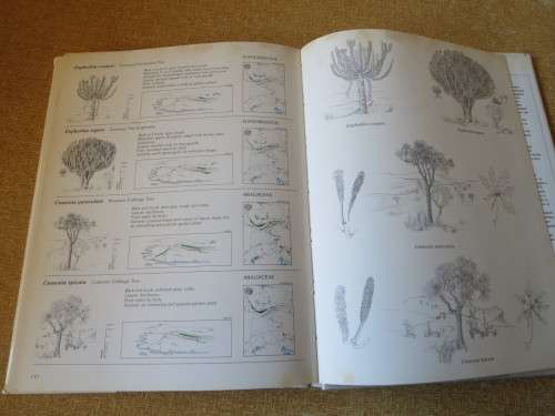 TREES & SHRUBS OF THE WITWATERSRAND, MAGALIES- & PILANSBERG by J van Gogh & J Anderson