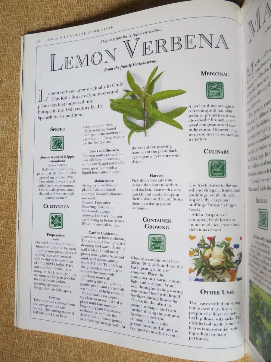 JEKKA`S COMPLETE HERB BOOK  by Jekka McVicar