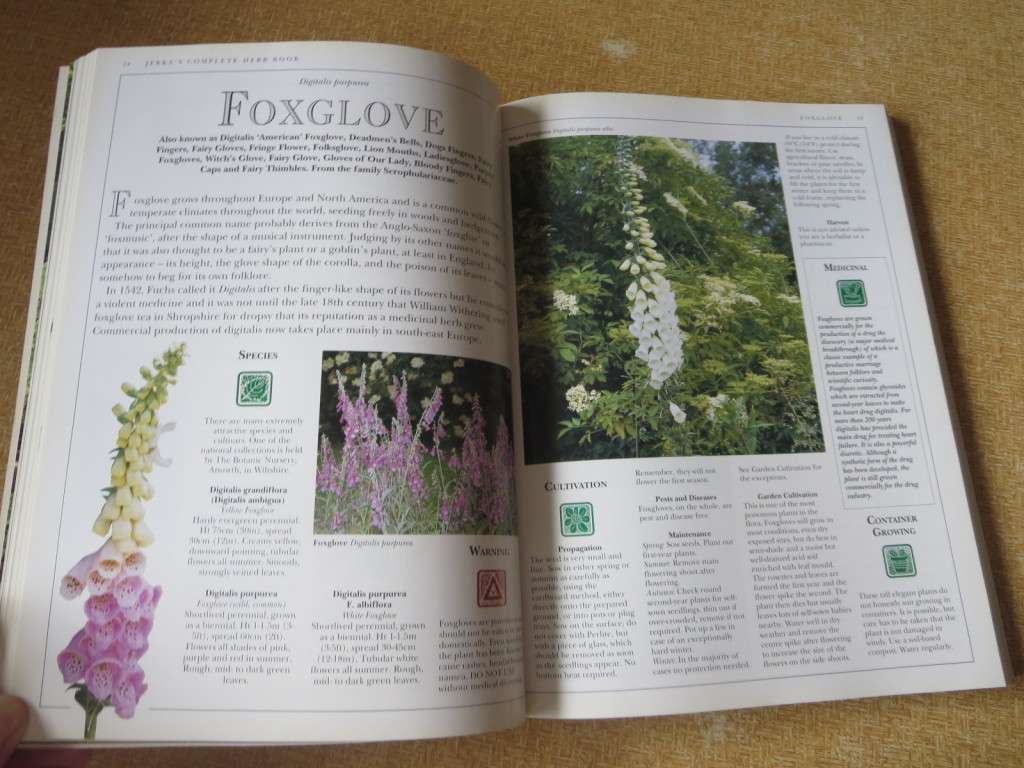 JEKKA`S COMPLETE HERB BOOK  by Jekka McVicar