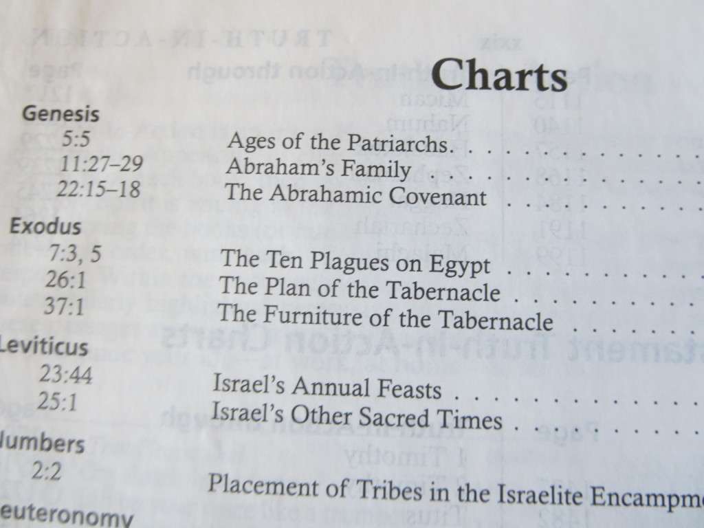 NEW SPIRIT FILLED LIFE BIBLE  Executive Editor: Jack W. Hayford  New King James Version